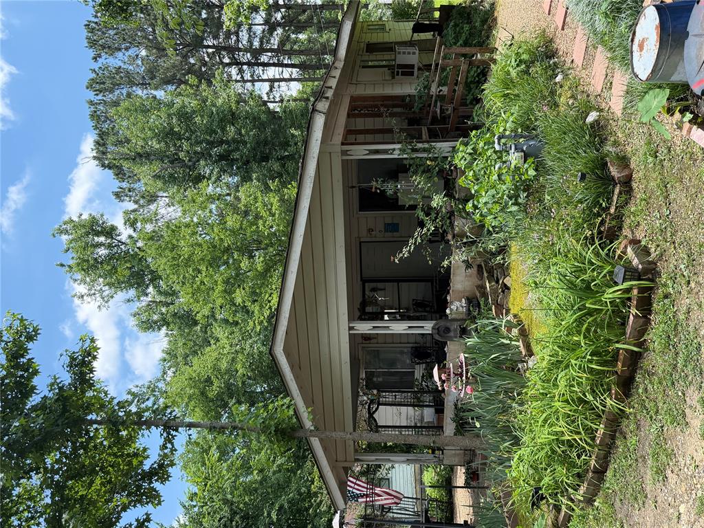 203 Tanglewood Street — photo