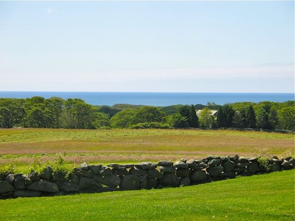 384 Middle Rd Ch222, Chilmark, MA 02535 — photo 2