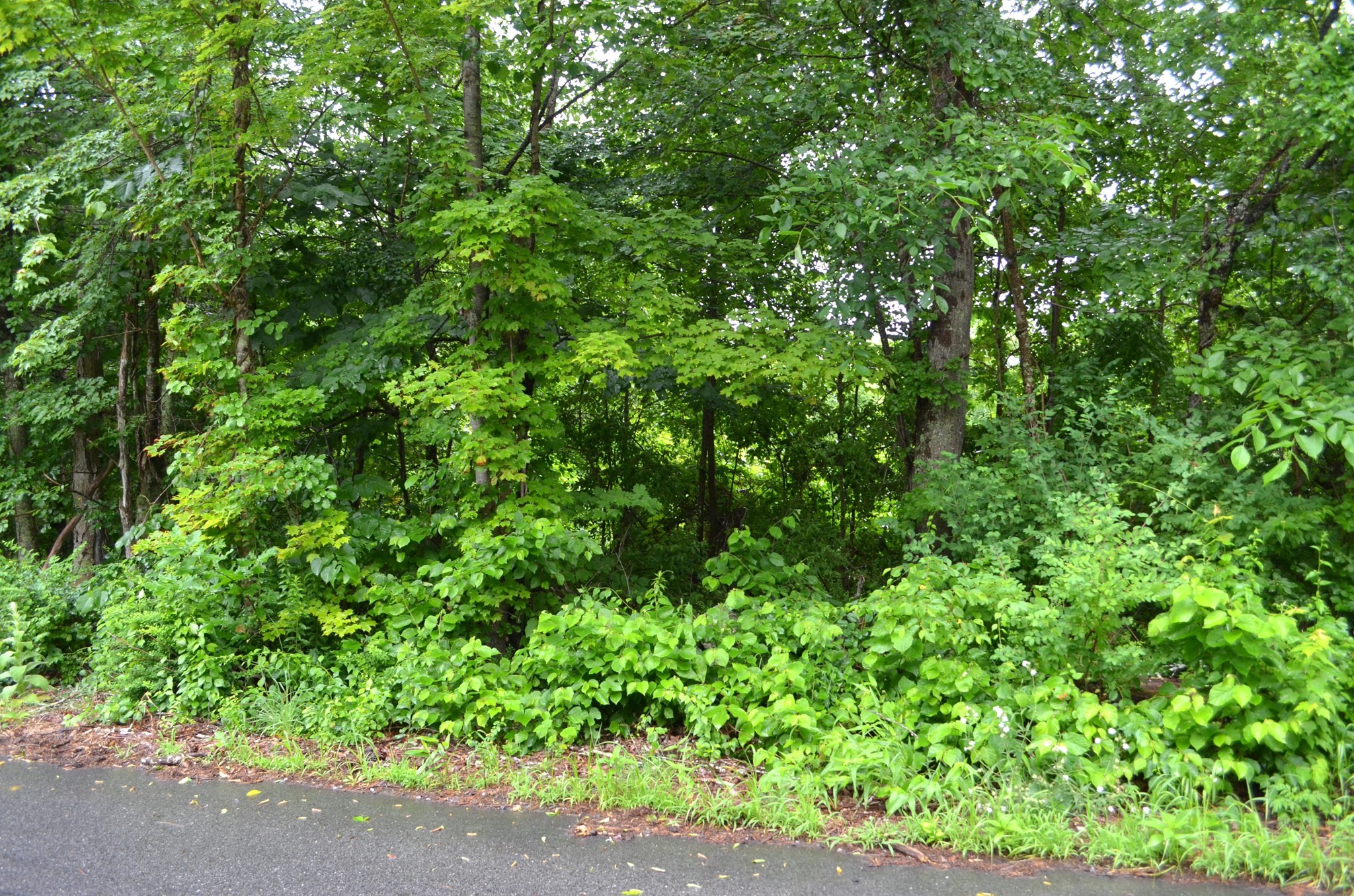 67 Babcock Tavern Road, Ware, MA 01082 — photo 2