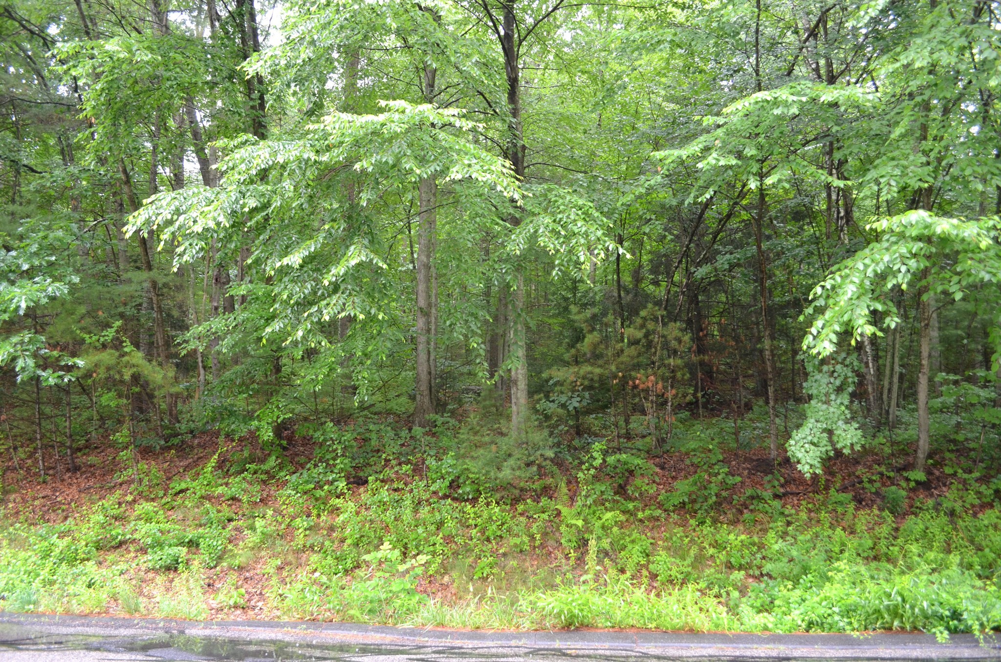 67 Babcock Tavern Road, Ware, MA 01082 — photo 3
