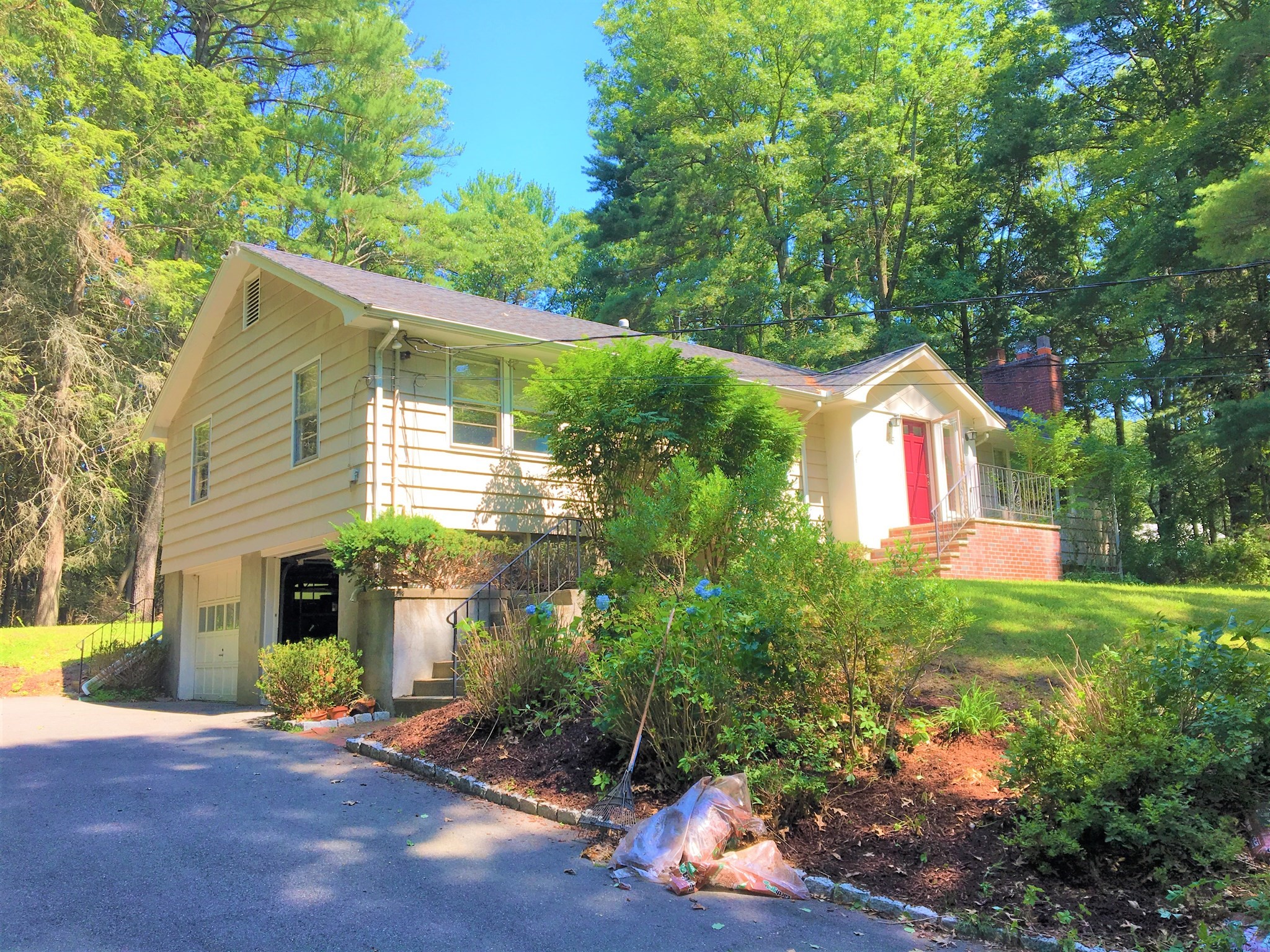 53 Deerhaven # 1 — photo
