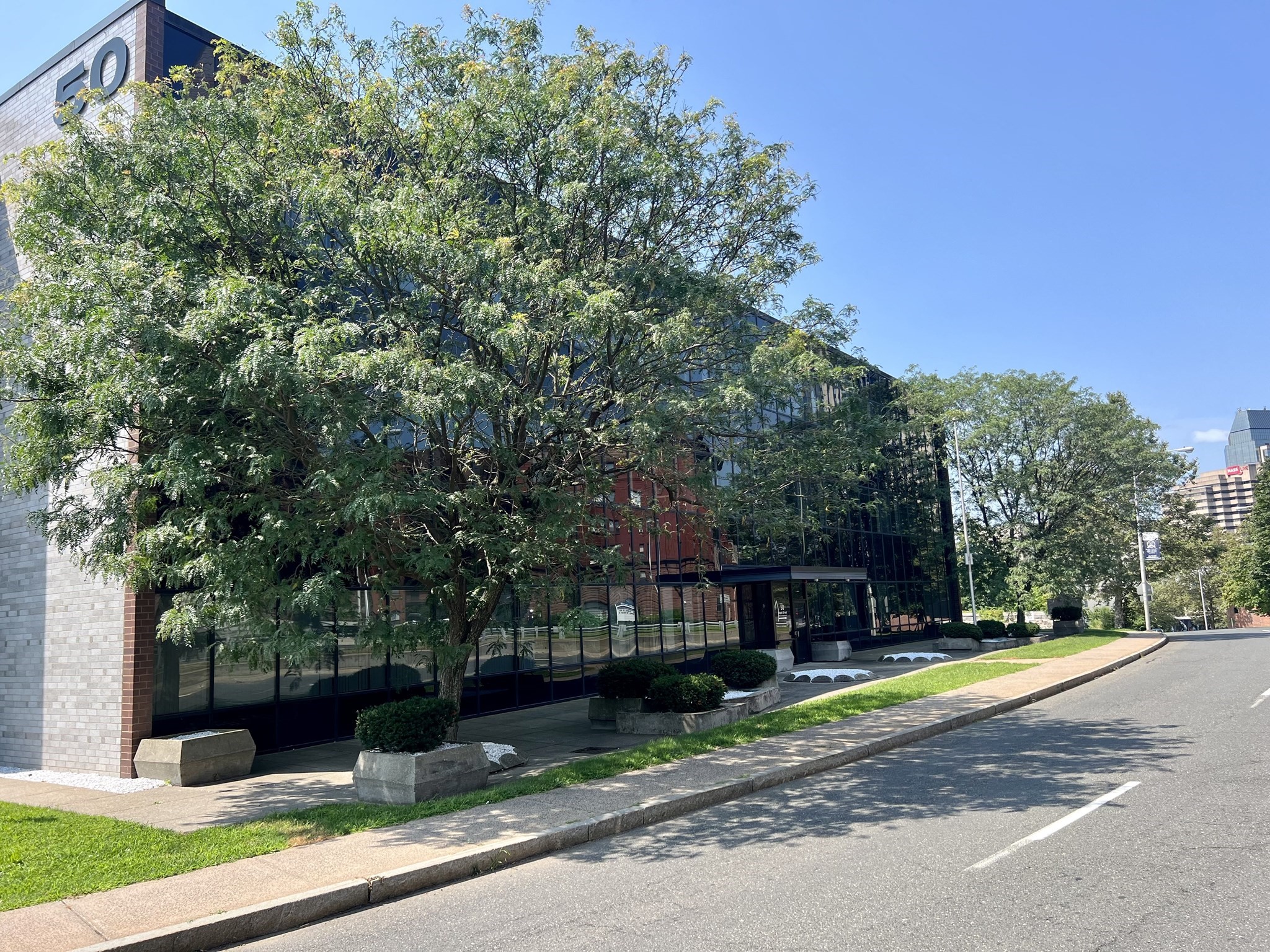 50 Maple Street, Springfield, MA 01103 — photo 3