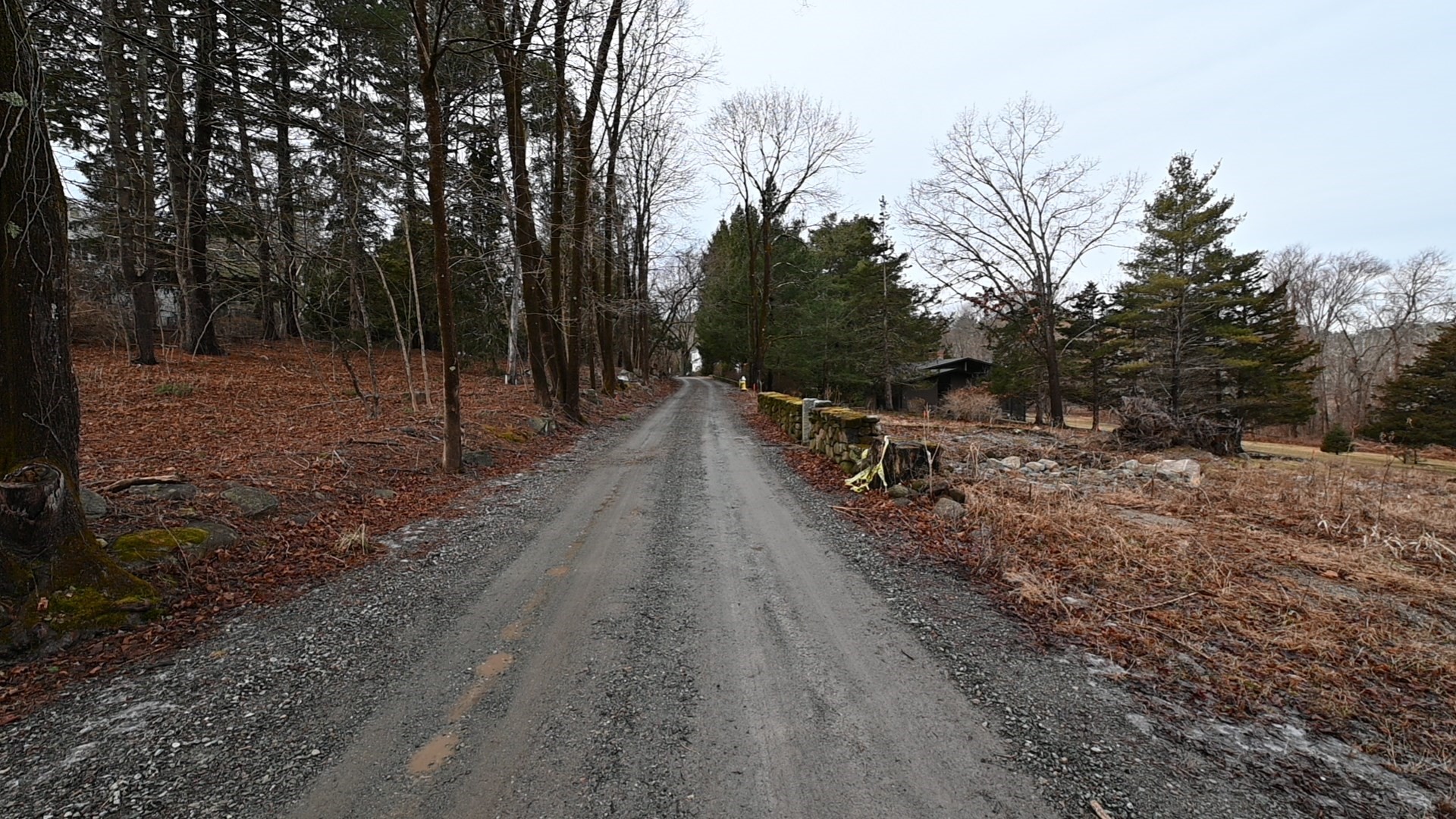 333 Cartwright Road, Needham, MA 02482 — photo 3
