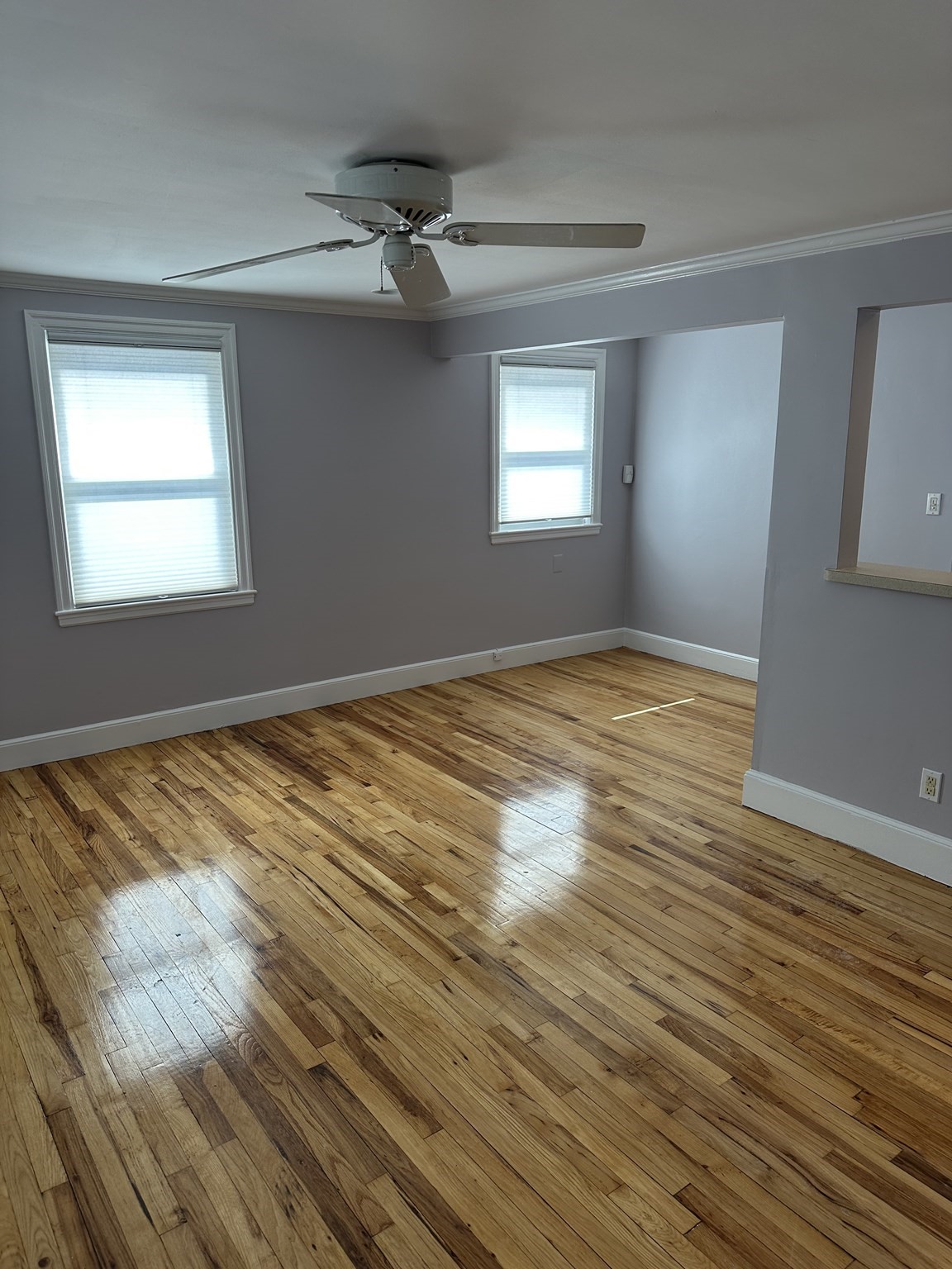 33 Paragon Road, Boston, MA 02132 — photo 3