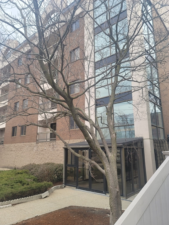 24 Corey St # 201 — photo