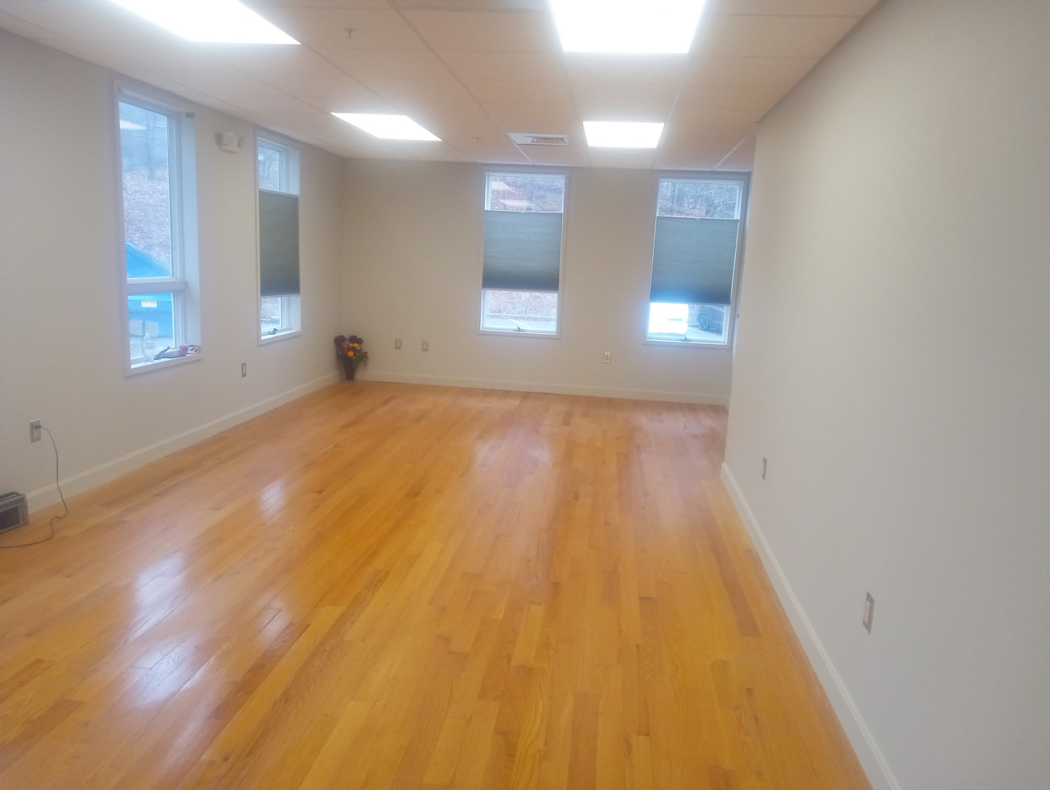 491 Maple St # 206 — photo