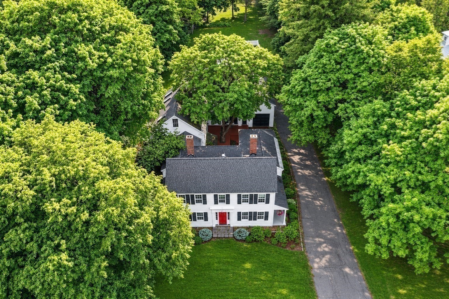 15 Elm Street — photo