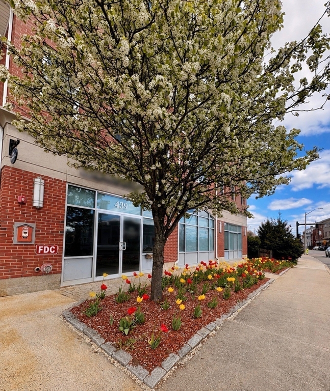 441 Washington St #203 — photo