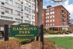 20 Hammond # 102 — photo