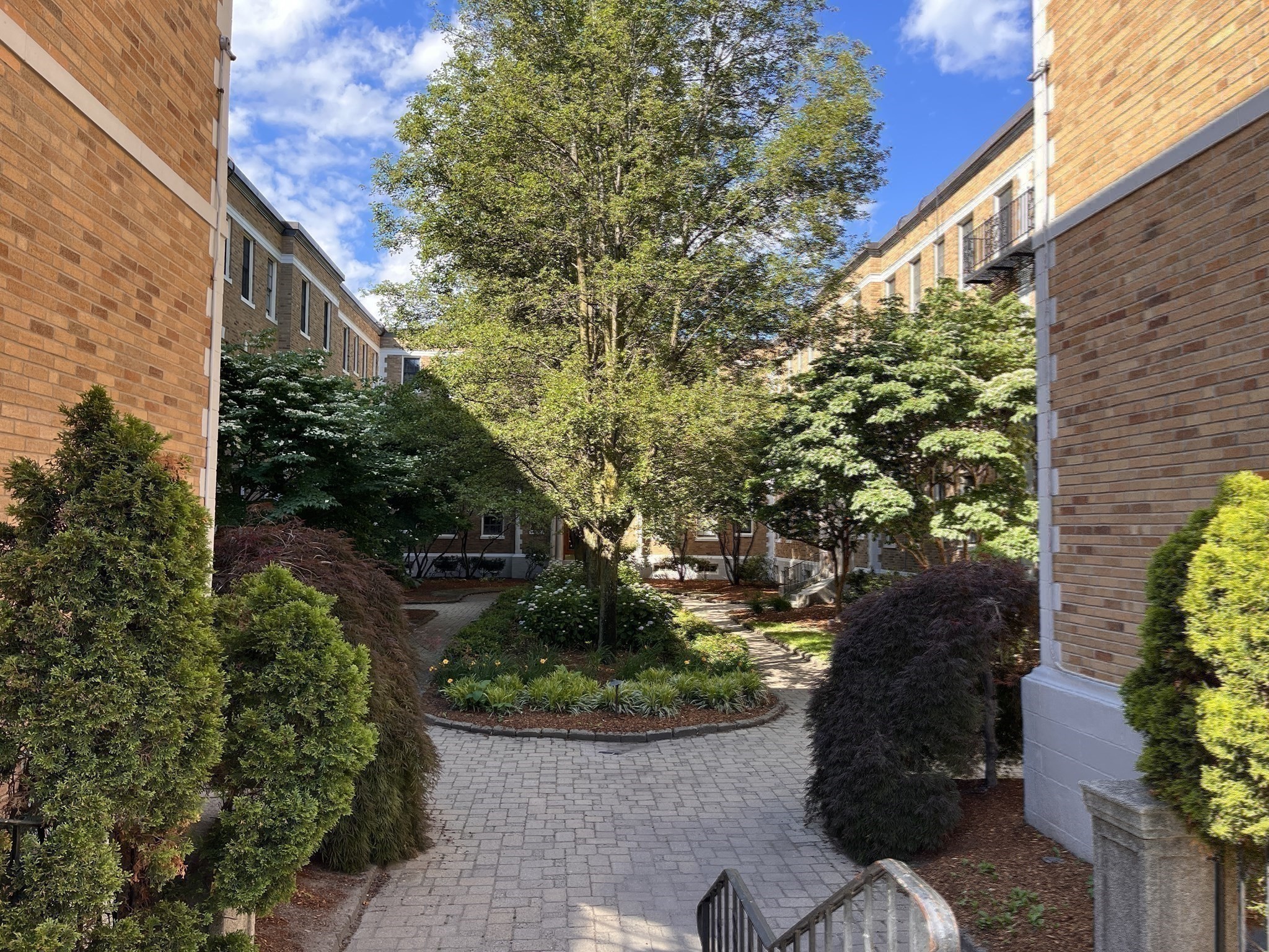 854 Massachusetts Ave #4 — photo