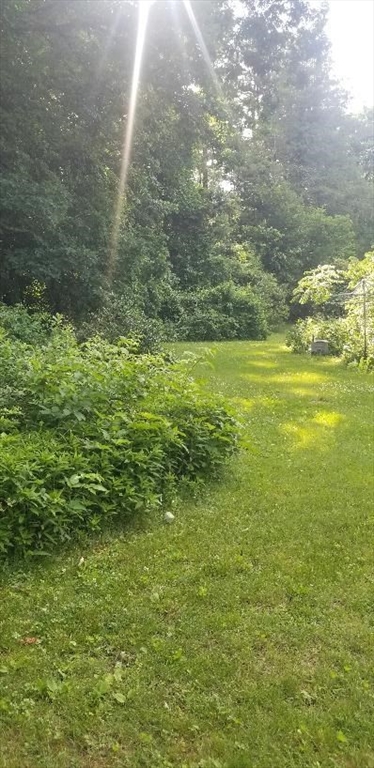 11 Longfellow Road, Lexington, MA 02420 — photo 2