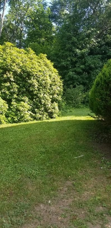 11 Longfellow Road, Lexington, MA 02420 — photo 3