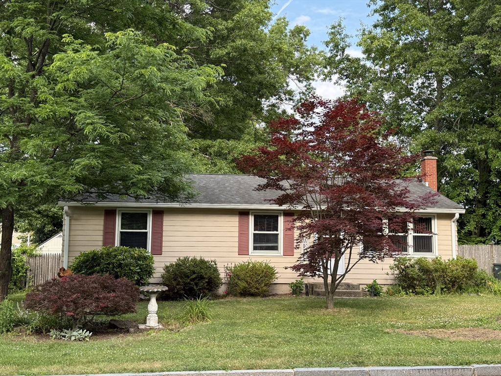11 Butternut Street, Springfield, MA 01128 — photo 3