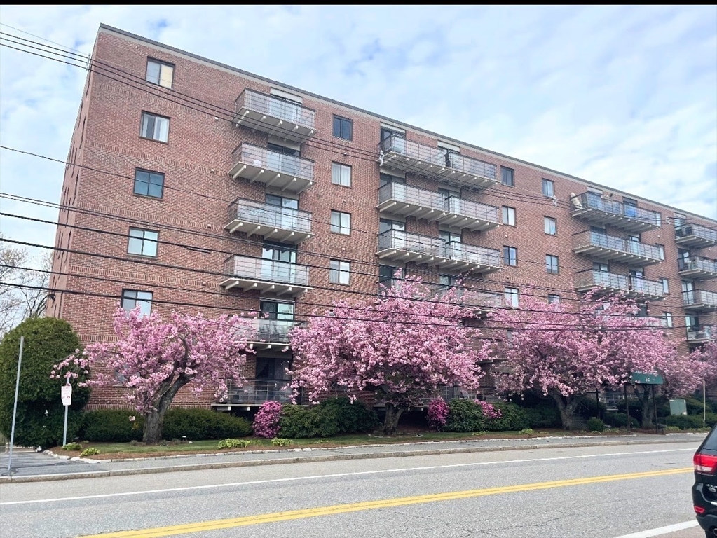 46 Cochituate Road #201 — photo
