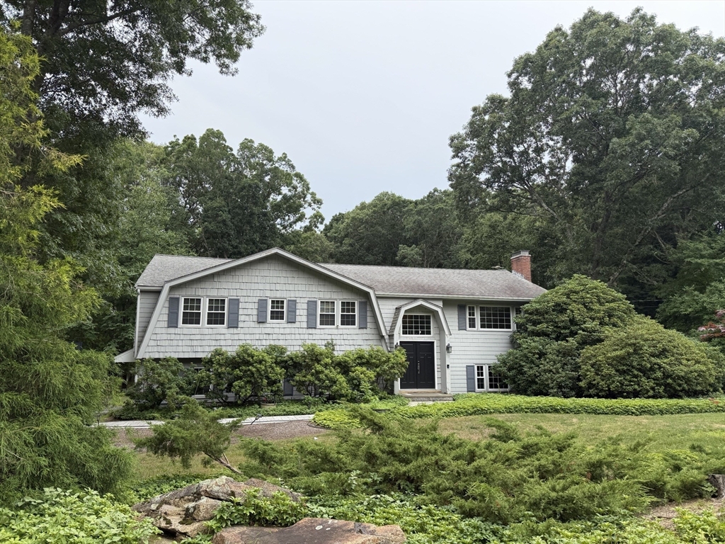 35 Williams Rd #35 — photo