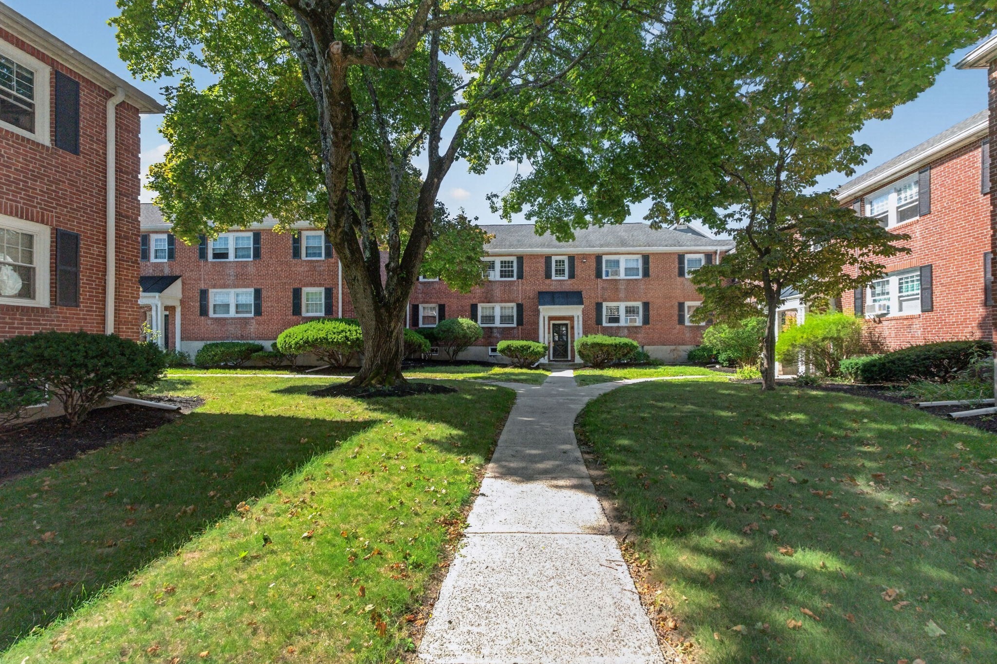 930 Massachusetts Ave #5 — photo