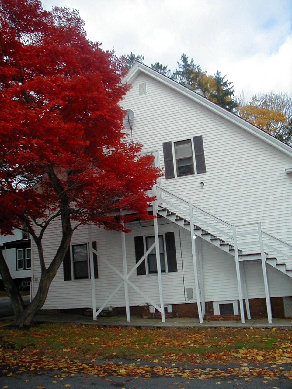 49B Dean Avenue #B — photo