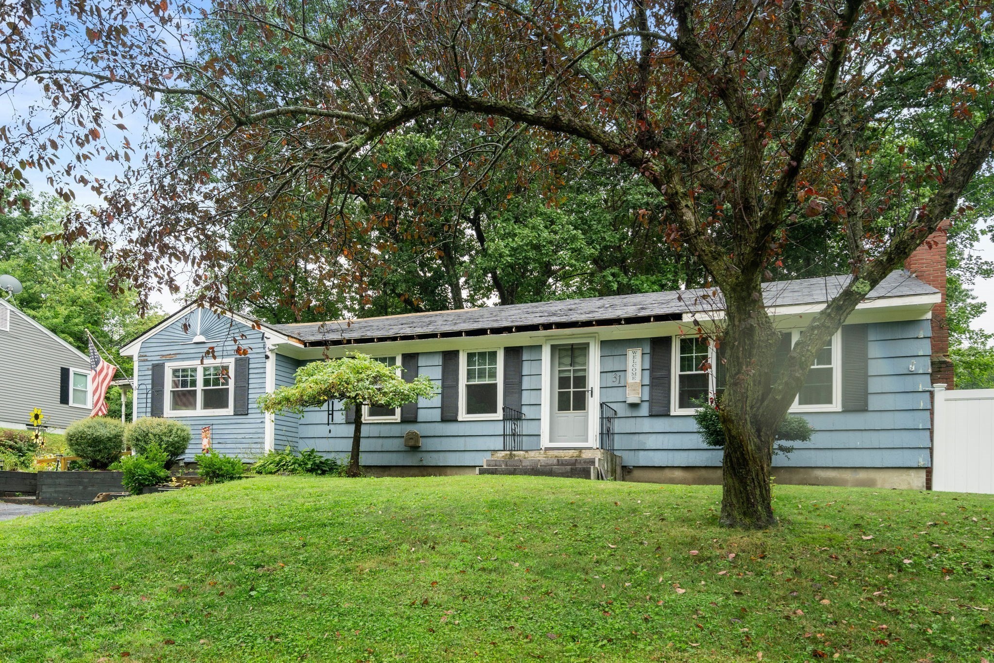 31 Helen Dr — photo