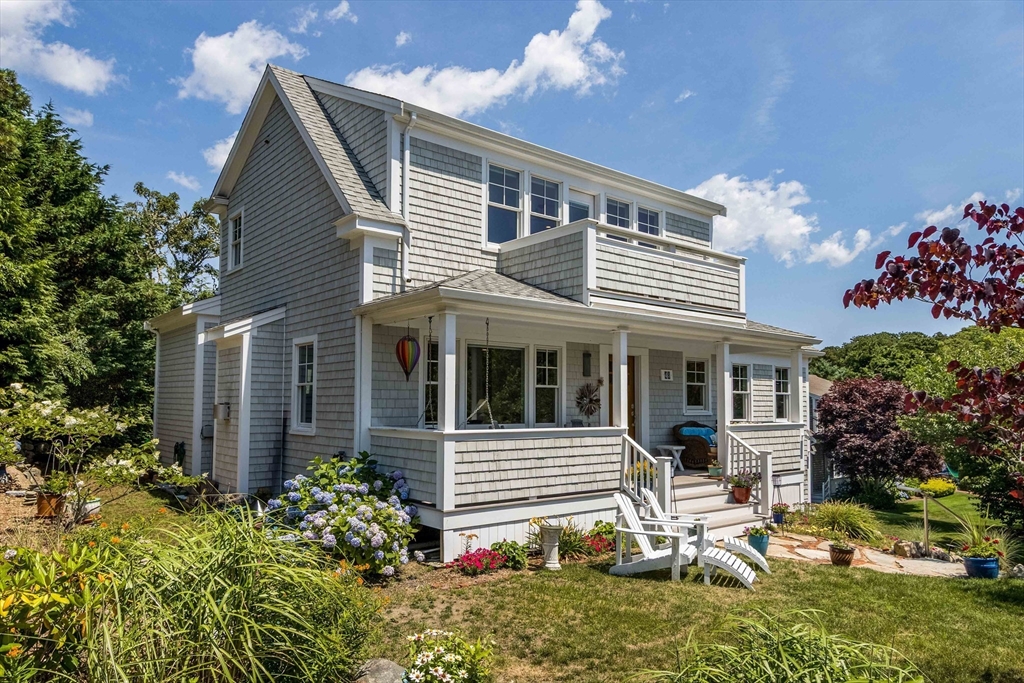 43 Tobey Turtle — photo