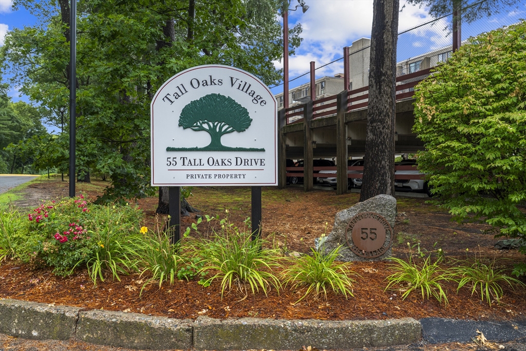 55 Tall Oaks Drive #705 — photo