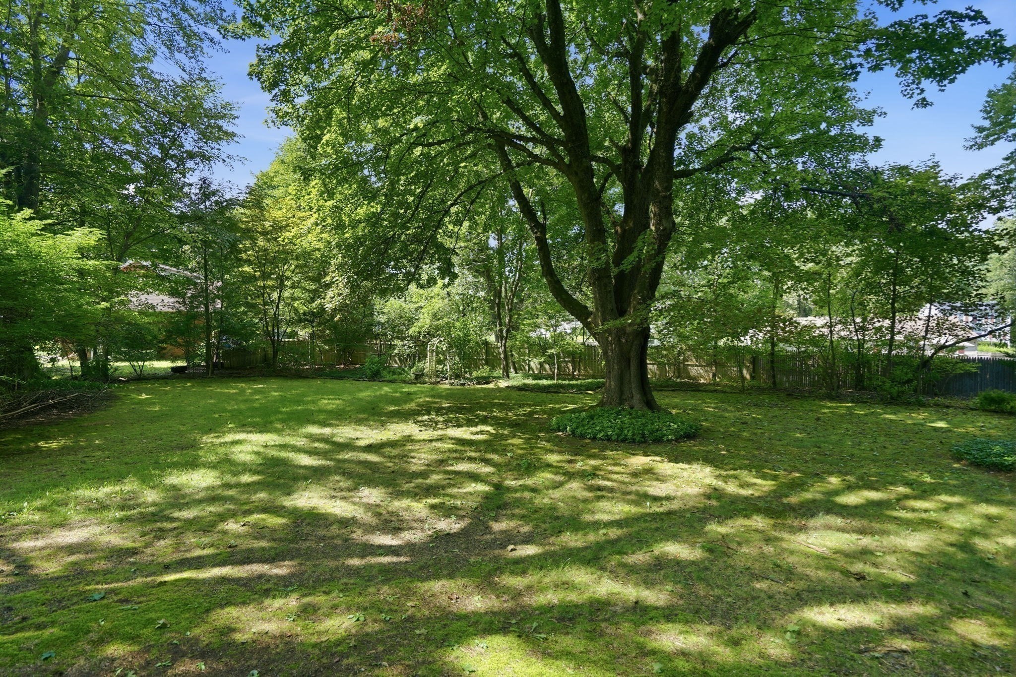 1374 Plumtree Road, Springfield, MA 01119 — photo 2