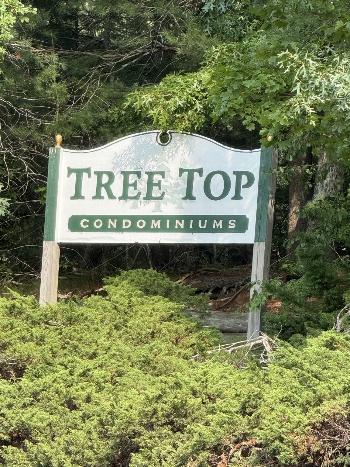 3 Treetop Ln #8 — photo