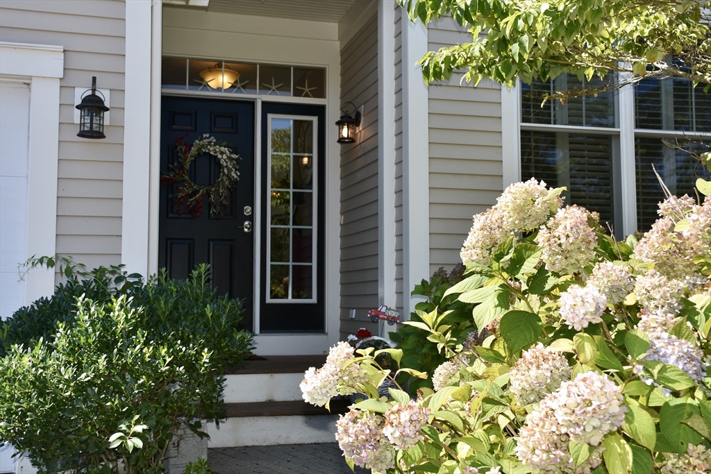 6 Chadwick Ct #6 — photo