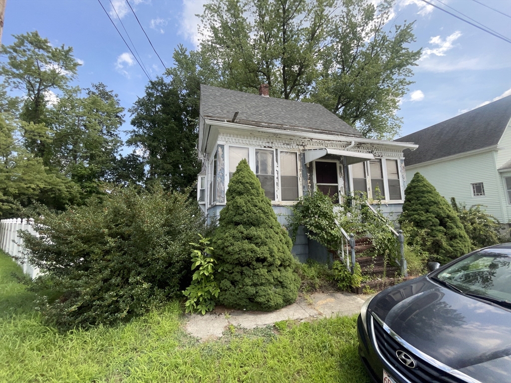 9 Wilfred St — photo