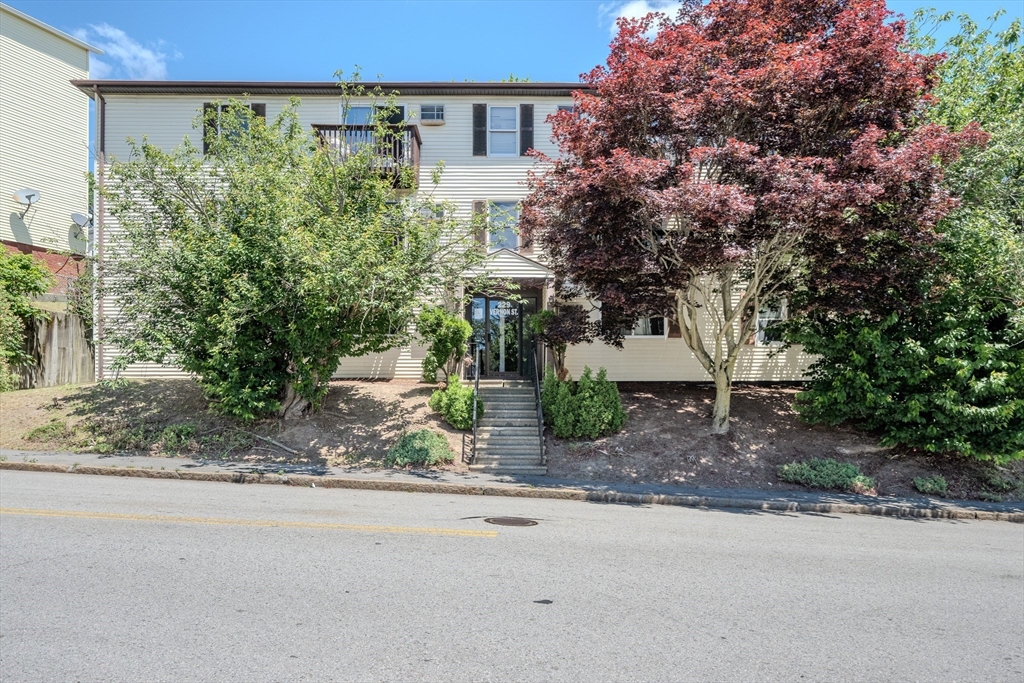 229 Vernon St #3 — photo
