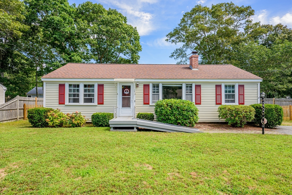 54 Holly — photo