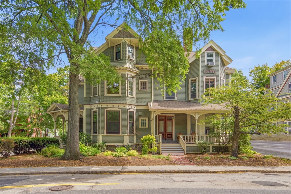 62 Cypress #1 — photo