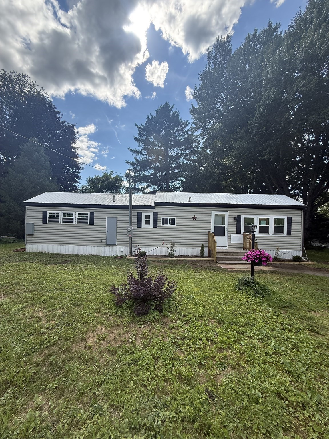 9 Willow — photo