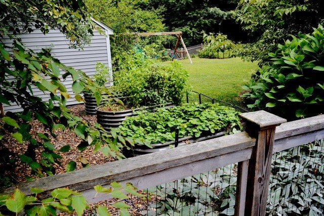 36 Intervale Terrace, Reading, MA 01867 — photo 3