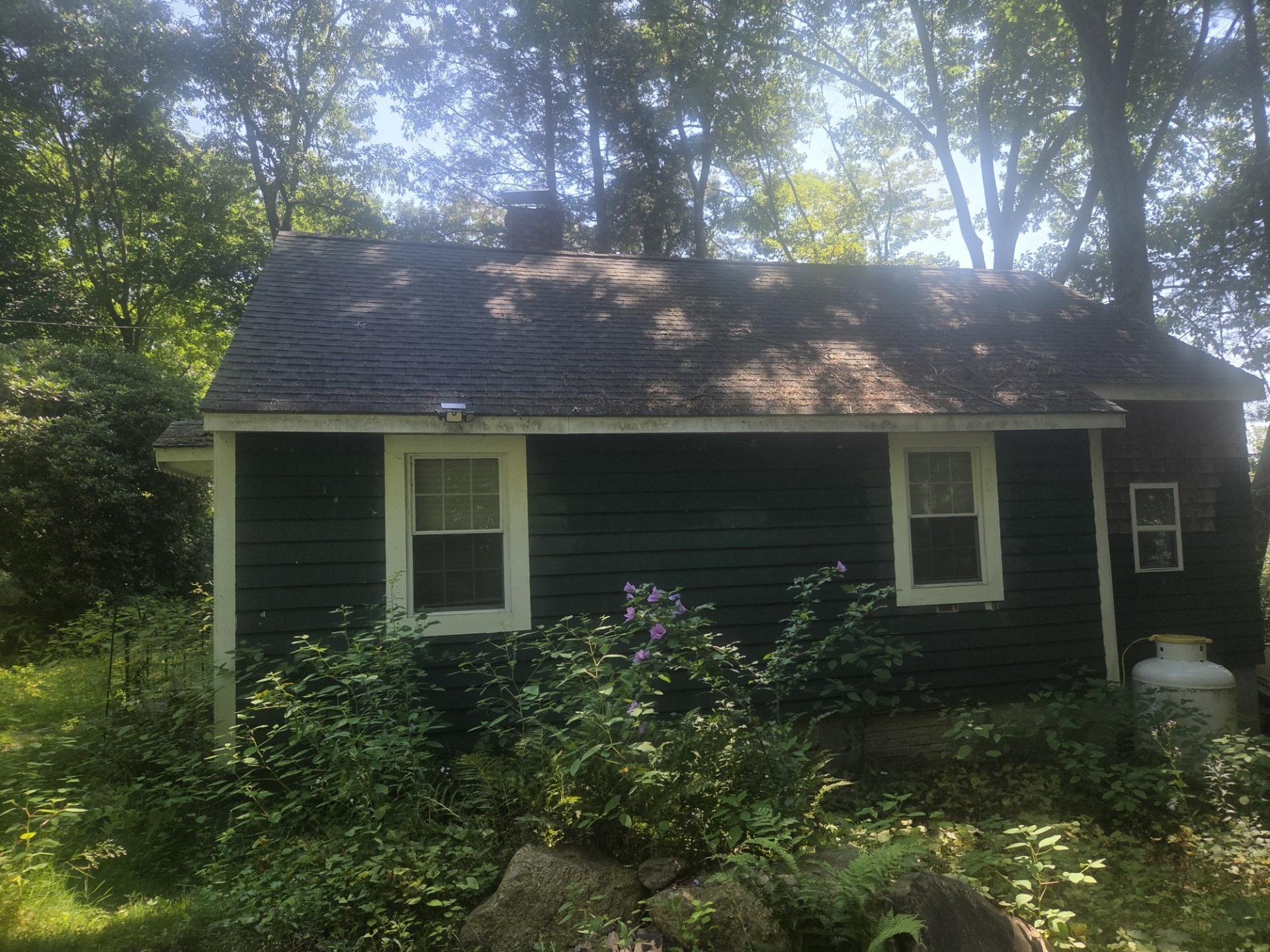 4 Lambs Grove — photo