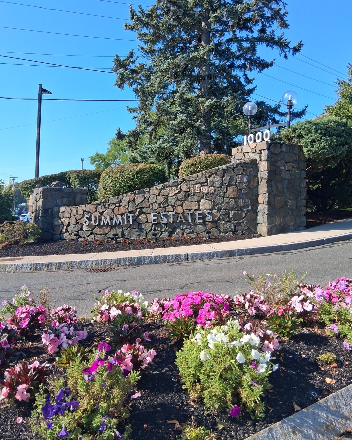 1004 Paradise Rd #2M — photo