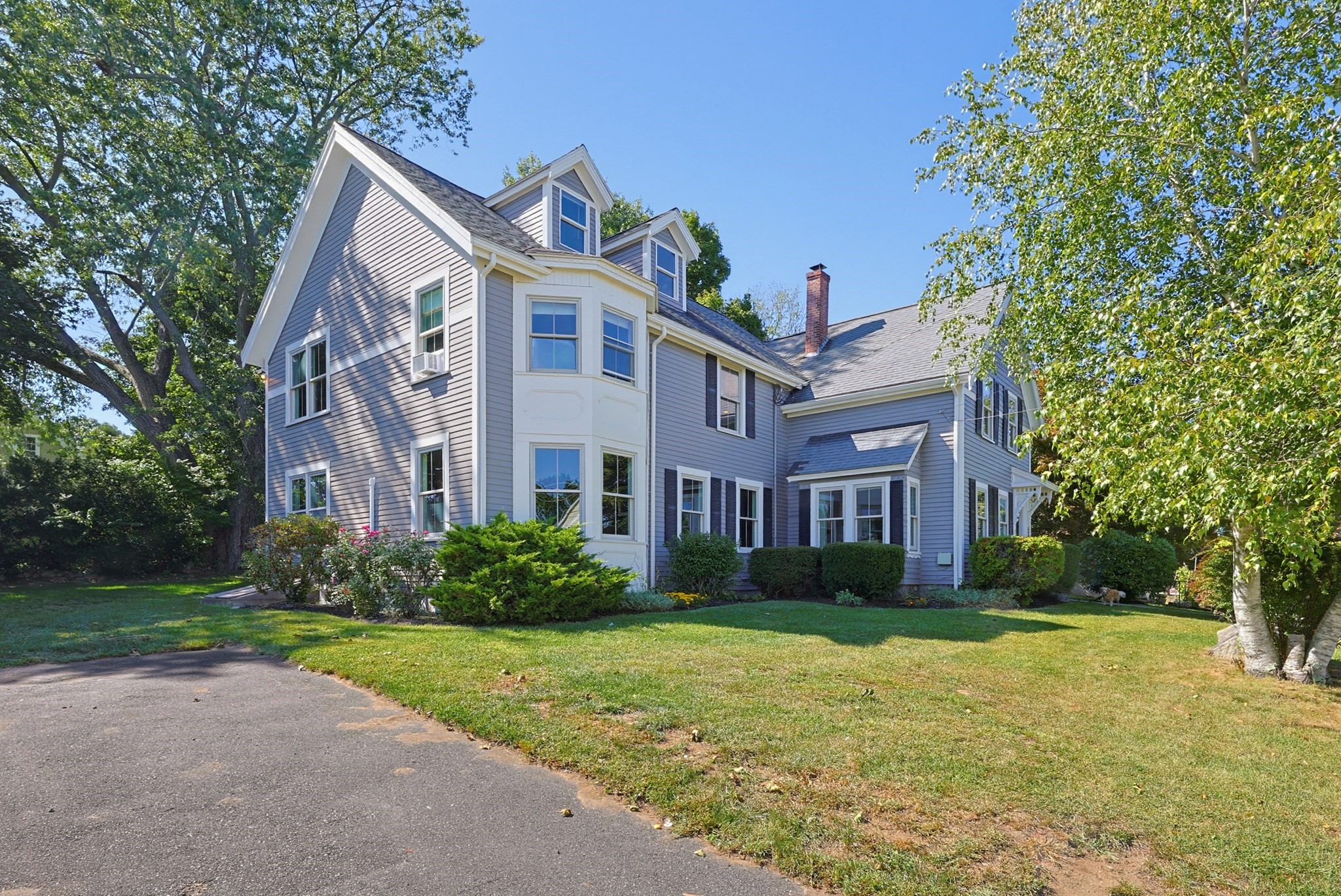 40 Lydon — photo