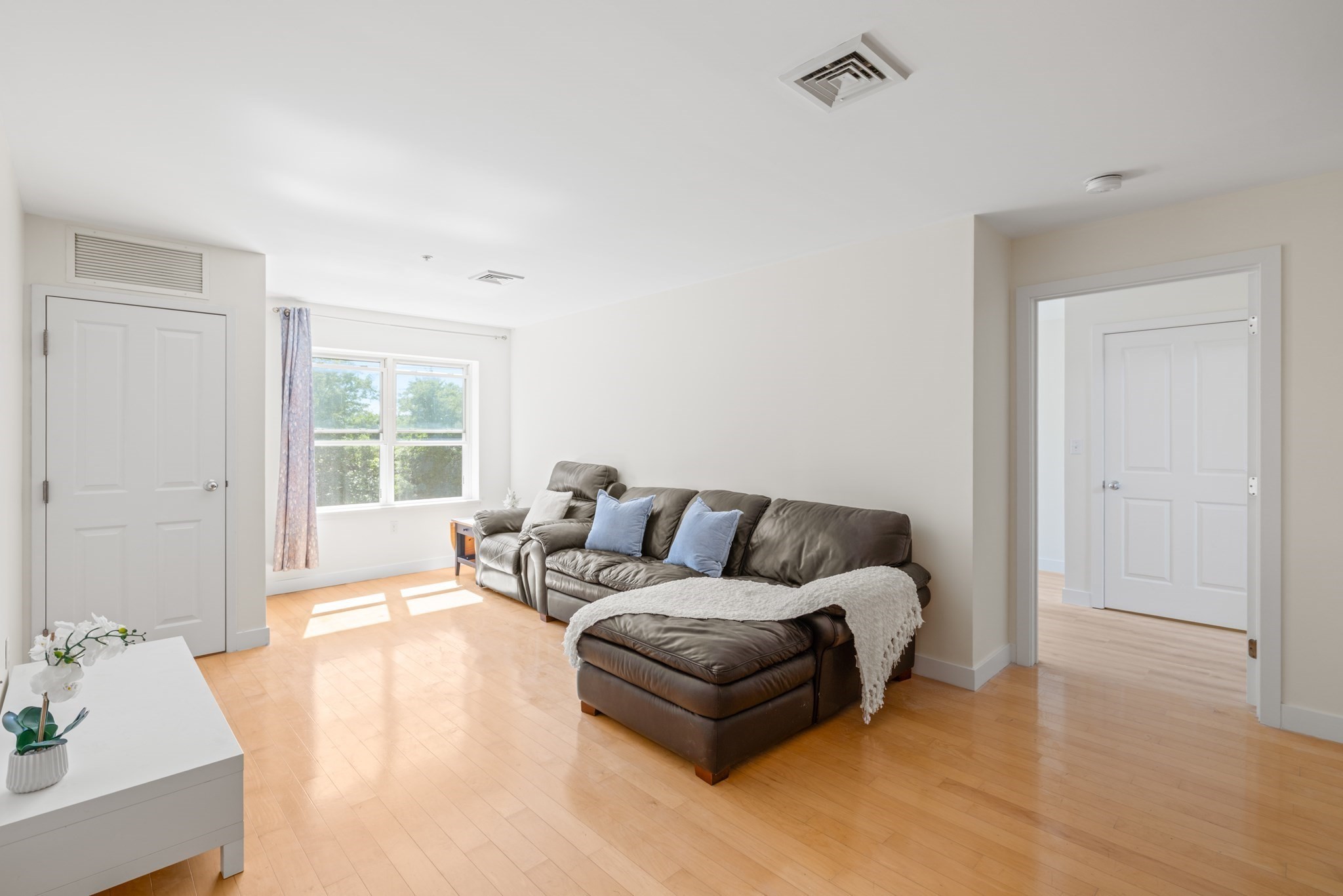 30 Franklin St #312 — photo