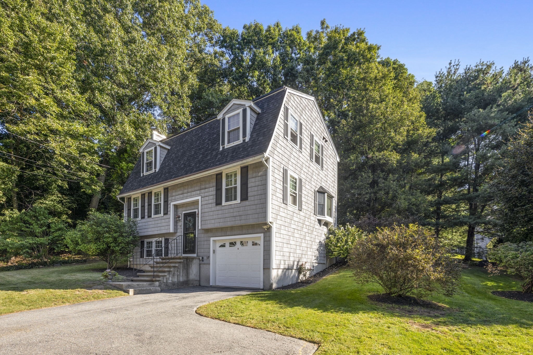 50 Wood — photo