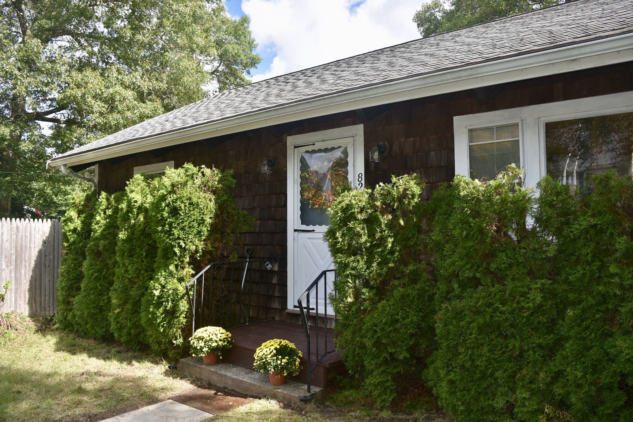 82 Gooseberry — photo