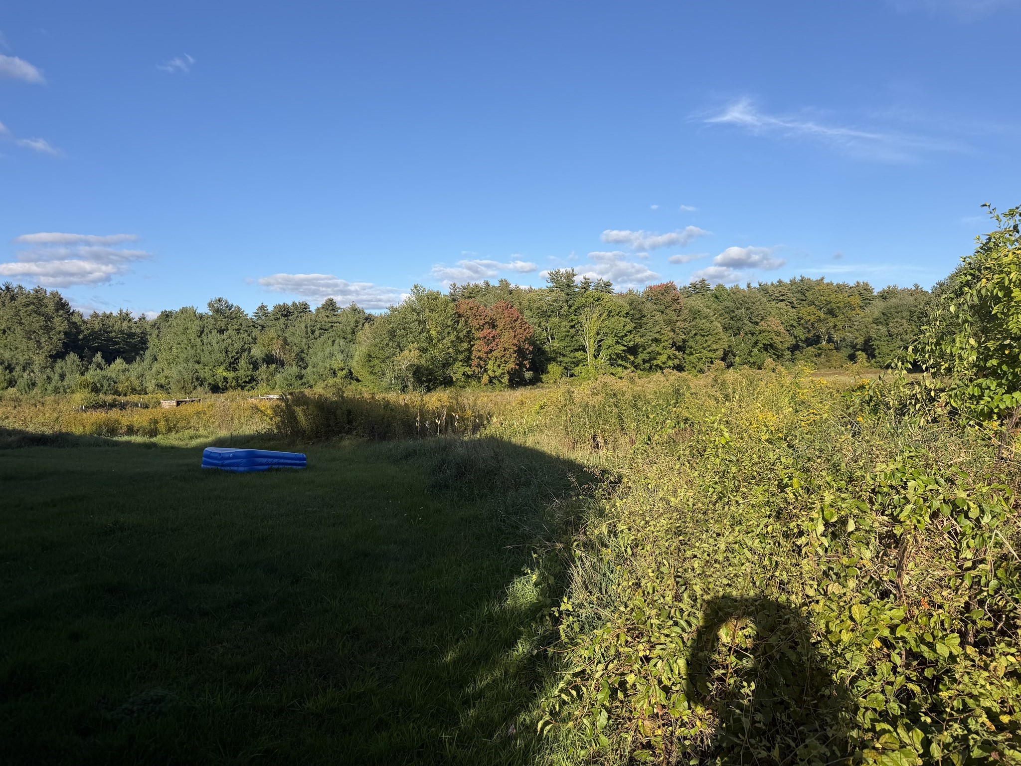30 Webster Road, Ware, MA 01082 — photo 3