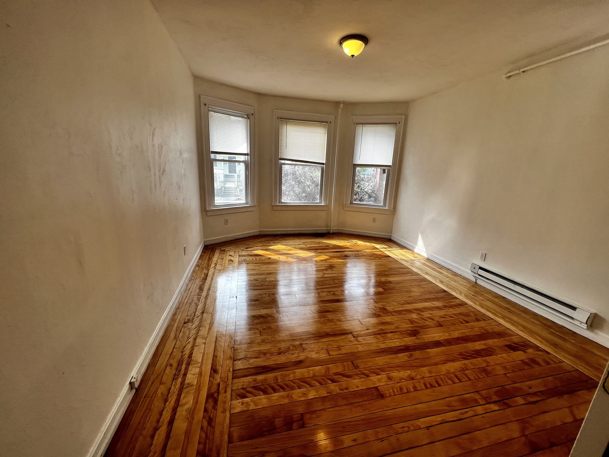 3-5 Woodbine St #1 — photo