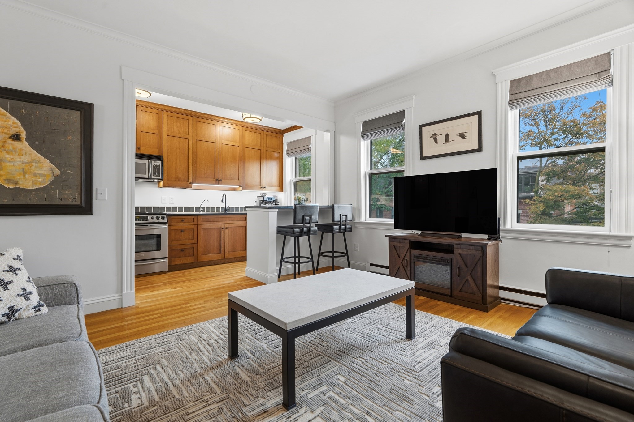 202 W Springfield St #5 — photo
