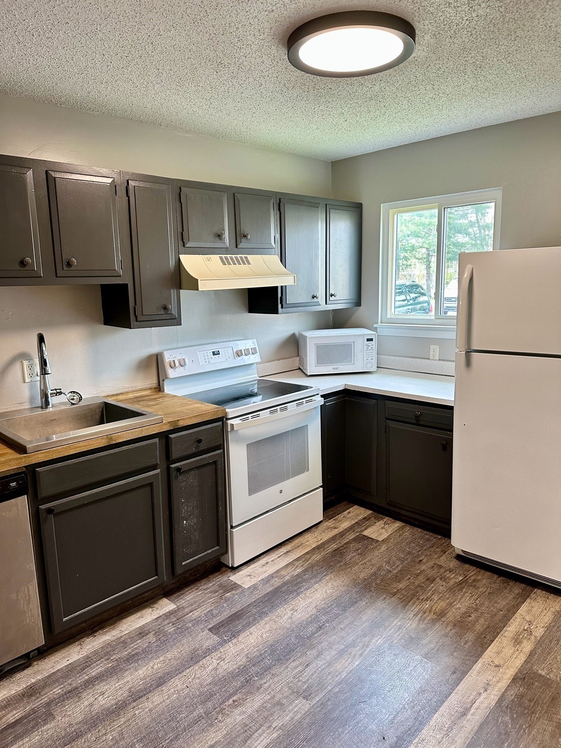 170 E Hadley Road #29, Amherst, MA 01002 — photo 2