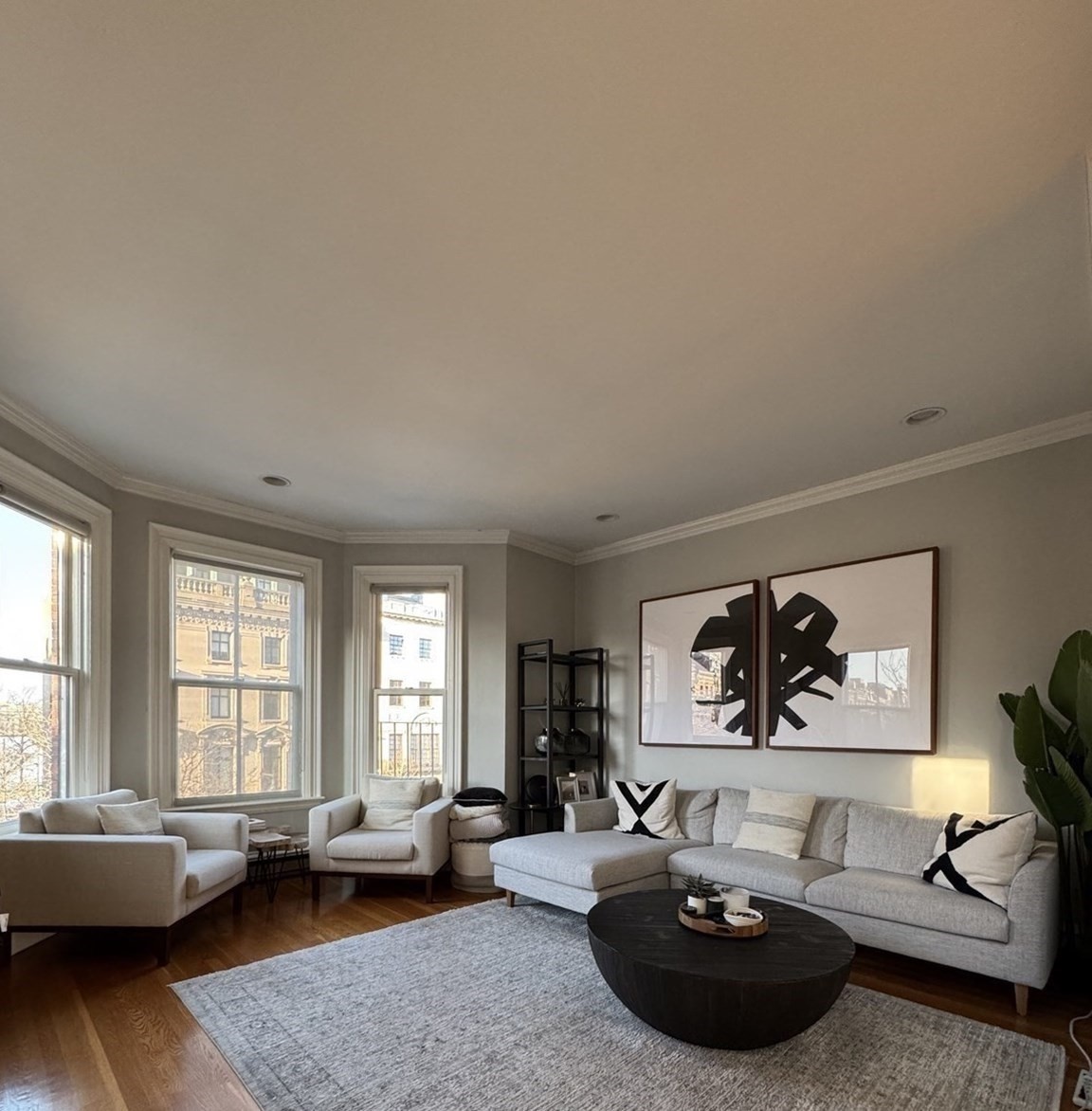 12 Hereford #4 — photo