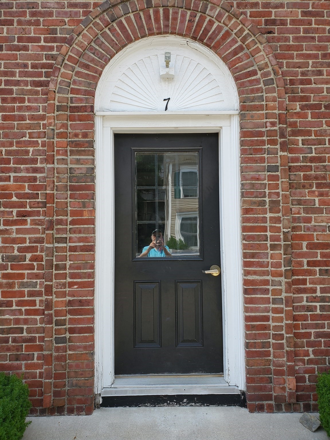 7 Shanley #2 — photo