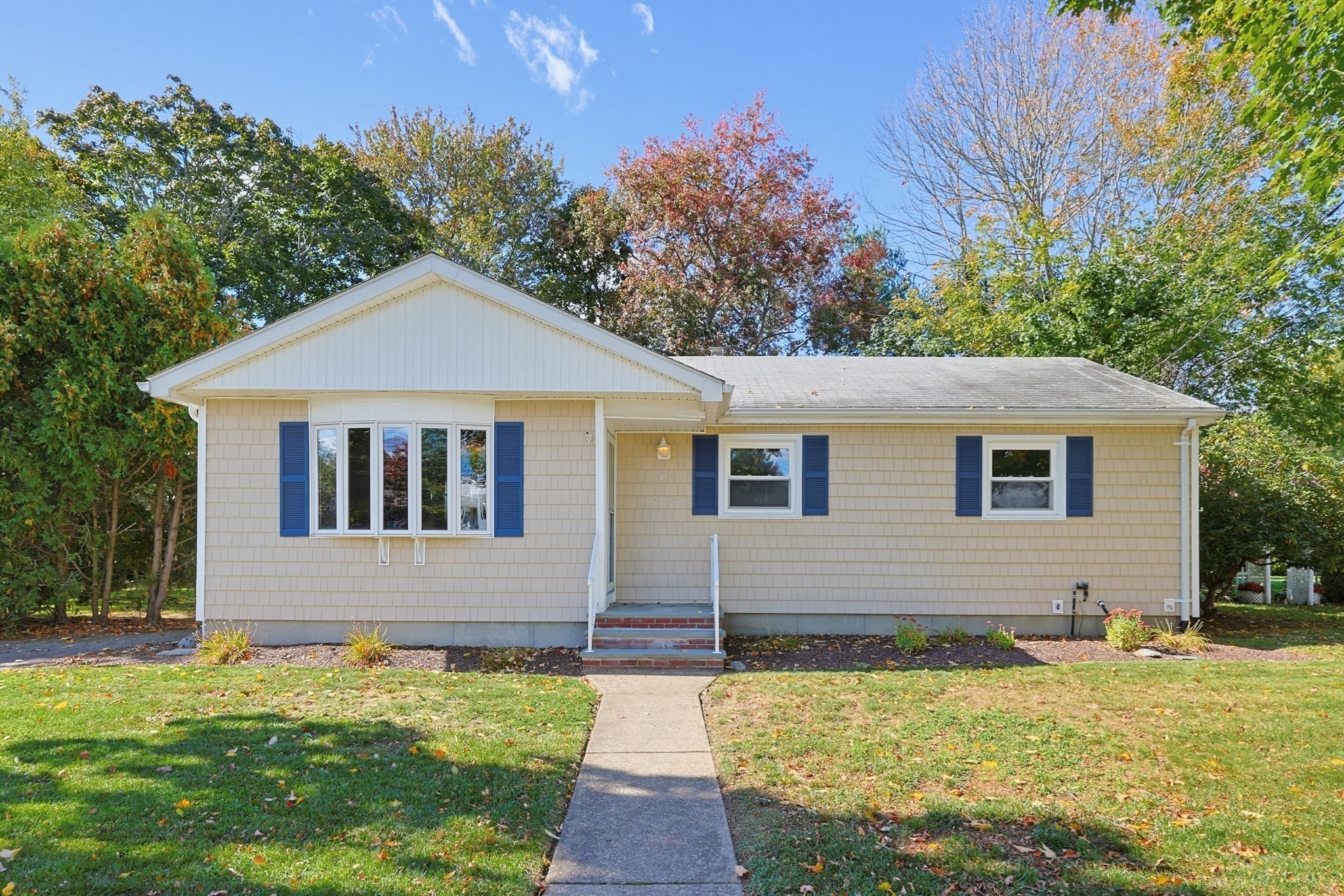 51 Robin — photo