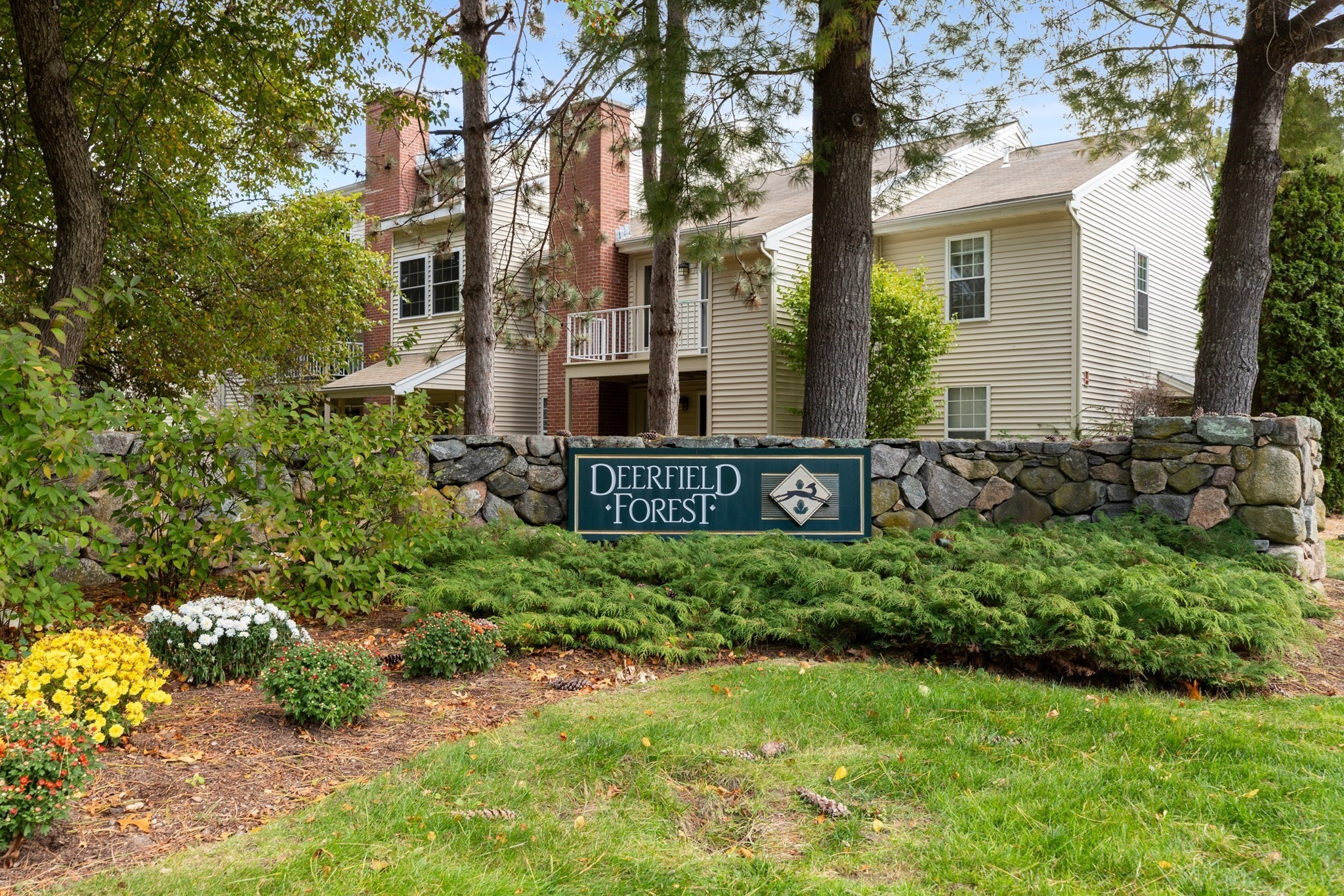 6 Walden Dr #6 — photo