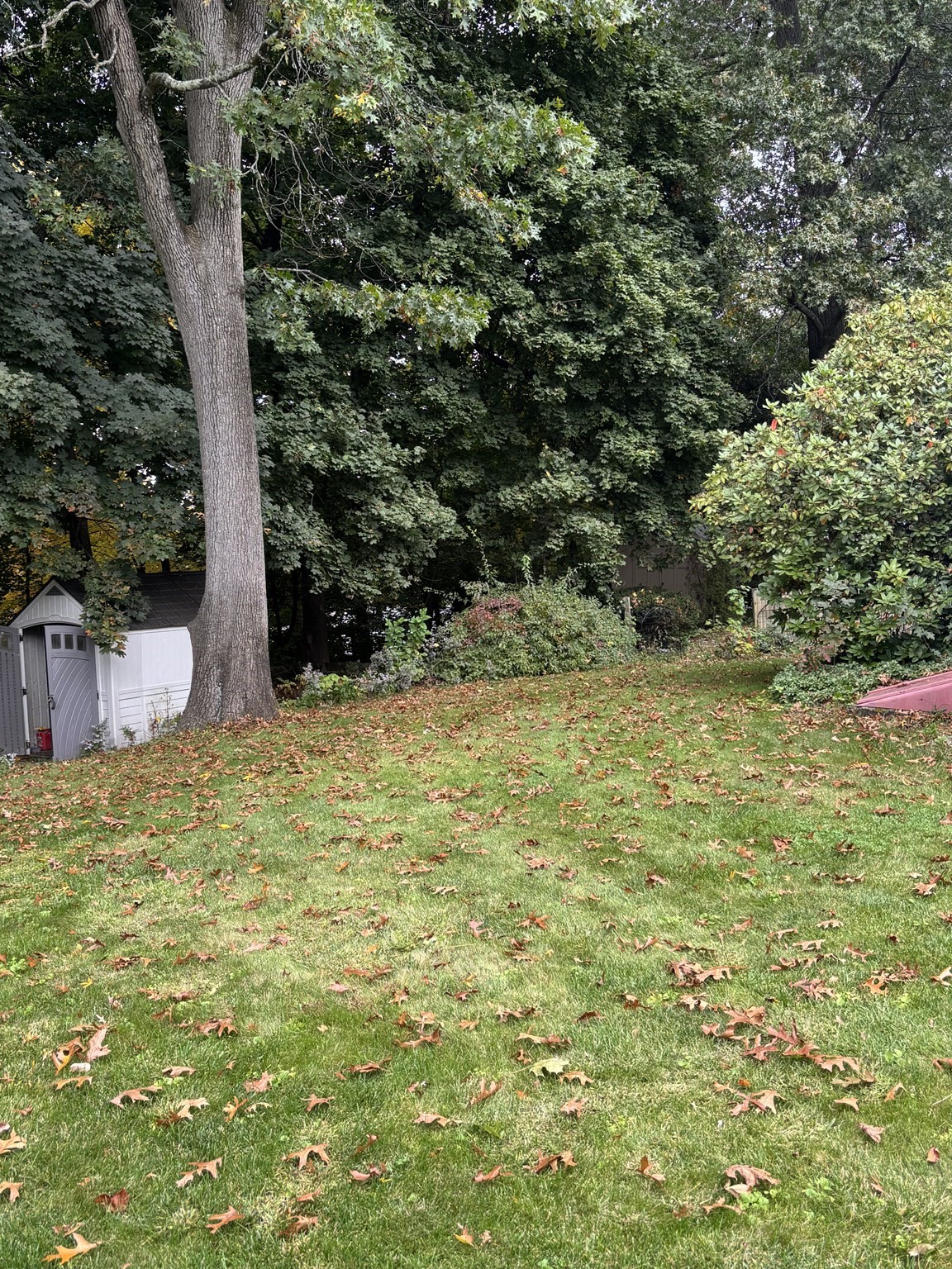250 W Allen Ridge Road, Springfield, MA 01118 — photo 3