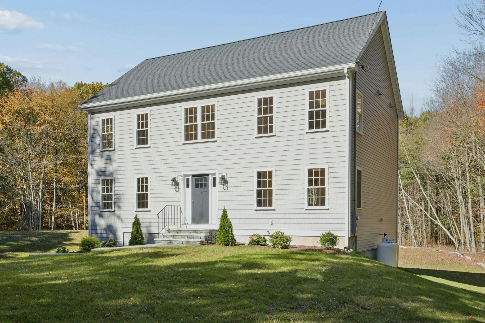 43 Martin — photo
