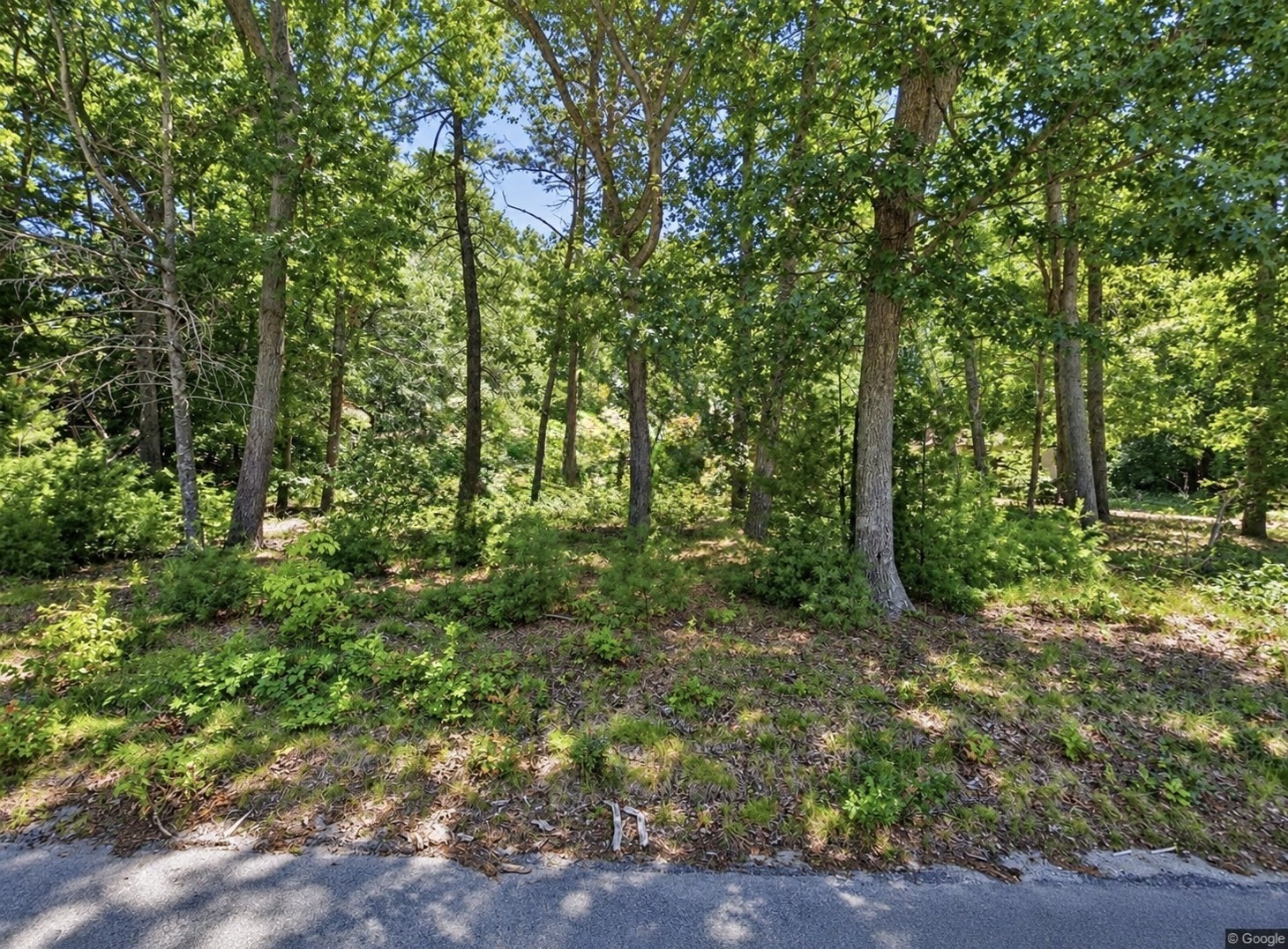 95 Flames Rd — photo